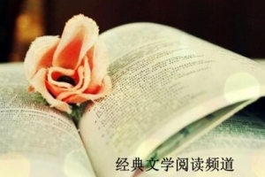 2017年日本留学专业排行榜