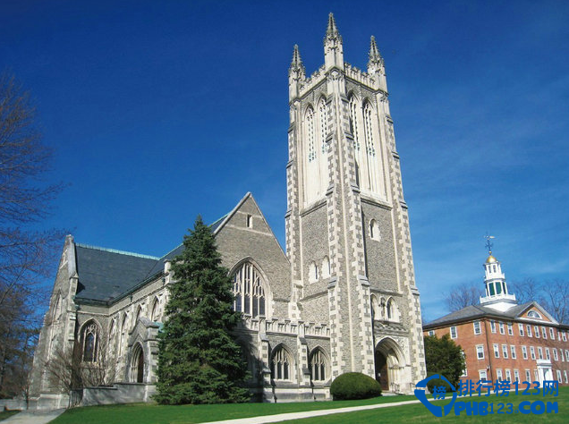 我们常说的常青藤大学其实是是指常青藤高校联盟8所美国首屈一指的大学。包括有哈佛)、耶鲁、宾夕法尼亚、普林斯顿、哥伦比亚、布朗、达特茅斯和康奈尔。而现在也有更多的认识到了新常春藤(New Ivy)，或者称为泛常春藤，指的是除了上述八所学校之外的美国顶尖大学或文理学院。它们拥有和八所常春藤学校相同甚至更好的科研和教学能力。它们的生源和教授毫不逊色于常春藤大学，而在诺贝尔等奖项和校友质量方面甚至比常青藤更出色，因此这些大学被称作新常春藤，和上述八所大学一样享有国际声誉。下面排行榜123网的小编就来为您盘点十大新常青藤学校。