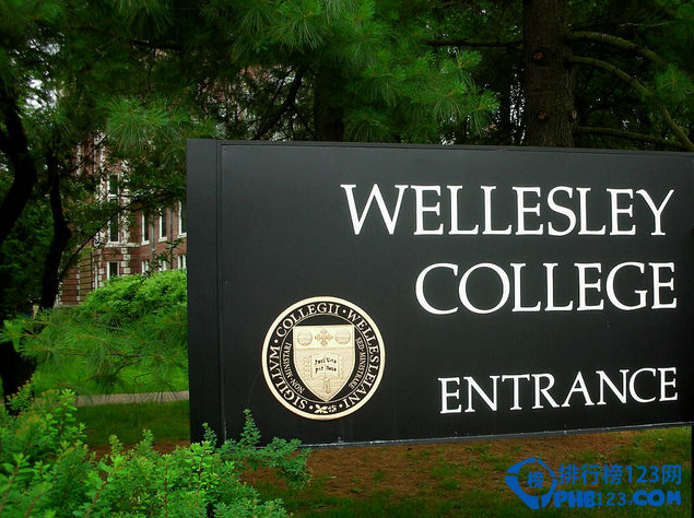 我们常说的常青藤大学其实是是指常青藤高校联盟8所美国首屈一指的大学。包括有哈佛)、耶鲁、宾夕法尼亚、普林斯顿、哥伦比亚、布朗、达特茅斯和康奈尔。而现在也有更多的认识到了新常春藤(New Ivy)，或者称为泛常春藤，指的是除了上述八所学校之外的美国顶尖大学或文理学院。它们拥有和八所常春藤学校相同甚至更好的科研和教学能力。它们的生源和教授毫不逊色于常春藤大学，而在诺贝尔等奖项和校友质量方面甚至比常青藤更出色，因此这些大学被称作新常春藤，和上述八所大学一样享有国际声誉。下面排行榜123网的小编就来为您盘点十大新常青藤学校。