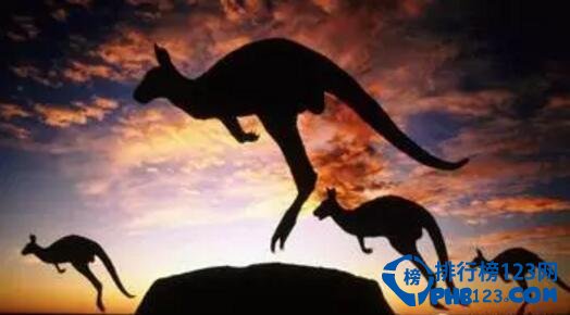 教育排行榜,小孩生长,留学,十大,排行榜