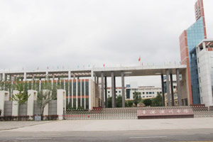 2015年青海高中学校排名前十强