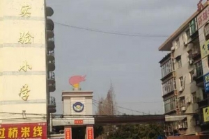 随州城区小学排行榜，看看哪所是你心仪的小学