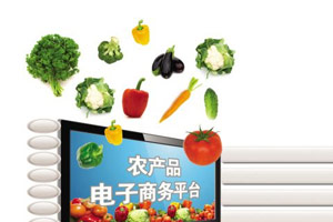 2016十大农产品电商平台排名