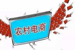 2017发展最好的十家农村电商排行榜,惠农网第一乐淘网第二