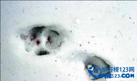 世界上十大诡异事件