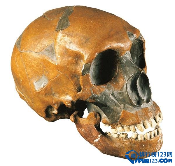 2014年十大考古新发现