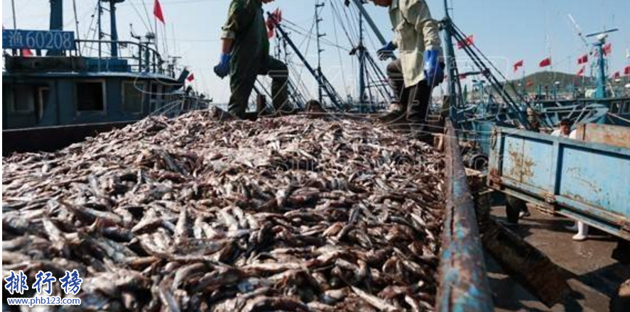 　　导语：渔业是中国一个重要的资源，各大渔场资源丰富盛产各种鱼类为人民的生活提供食品。那么你可能还不了解中国最知名的渔场是哪几个?今天排行榜123网小编盘点了中国四大渔场，一起来了解一下吧!  　　中国四大渔场：南部沿海渔场、舟山渔场、黄渤海湾渔场、北部湾渔场  　　四、北部湾渔场  　　北部湾渔场位于我国西北部的一个大海湾，是中国四大渔场之一，资源丰富这里盛产各种鱼类如：沙丁鱼、金枪鱼、比目鱼、金线鱼等50几种鱼类，海里还有海鲜类如虾子、螃蟹、扇贝等这里是大力发展水产养殖的场所我们生活中有吃到的牡蛎、文蛤等。涠洲岛、莺歌海等海底石油资源也是非常可观的，沿岸河口地区有许多红树林。  　　三、黄渤海湾渔场  　　黄渤海渔场里面的生物有18种其中包括黄鲫、小带鱼、鲈鱼等另外还有浮游动物中华哲水蚤、叶剑水蚤等这里盛产渔期的时间是4月到11月，这里有大量的小黄鱼、虾、蓝点马鲛等这里的水很浅底质都是淤泥，这几年这里大力发展石油项目，海洋的生存环境被破坏，已经渐渐丧失渔场功能。  　　二、舟山渔场  　　舟山渔场是浙江、江苏、福建等地的渔民作业区域，自古以来渔业资源就很丰富，在中国四大渔场是最大的一个渔场，这里大概有近360种鱼类，其中包括小黄鱼、带鱼、墨鱼等同时这里也是中国四大家鱼的主要养殖场所，渔民把这里的渔场划分为几个区域嵊山渔场、黄泽渔场、中街山渔场和金塘渔场等9个渔场，由于长期的捕捞导致这里的海洋被污染，资源也衰退了当地政府对这里也实施补救计划。  　　一、南部沿海渔场  　　南海渔场是我国热带渔场这里的海洋资源十分丰富，大海里有400多种鱼类如红鱼、飞鱼、石斑鱼等主要鱼类，海产品包括海参、珍珠、鲍鱼等几十种，最名贵的是棱皮龟和梅花参，这里还盛产珍珠、麒麟等十几种宝贝，不过这几年大量的养殖鱼类导致海域污染严重再也没办法生产高质量的海产品了，这几年海域附近开发频繁，其实渔场早就名存实亡了。  　　结语：以上就是排行榜123网小编为大家盘点的中国四大渔场，这些渔场里面有丰富的渔业资源盛产几百种鱼类，但是这几年石油开发、附近海域又有其它项目导致海洋污染严重，几乎已经名存实亡了。