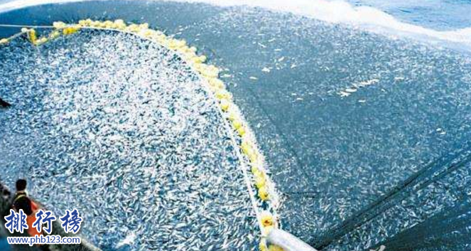 　　导语：渔场是海底里面的鱼类以及生物密集生活的场所，具有很高的捕捞价值。附近海域暖流和寒流交汇让海盐这些营养物质漂浮在上层才能造成鱼类的大量繁殖，那么你知道世界知名的渔场在哪里吗?今天排行榜123网小编盘点了世界四大渔场资料，一起来了解吧!  　　世界四大渔场：日本的北海道渔场、加拿大的纽芬兰渔场、英国的北海渔场、秘鲁渔场  　　四、秘鲁渔场  　　秘鲁渔场是世界知名的渔场那里水产资源非常的丰富生产的有鳀鱼、凤尾鱼等800多种鱼类据说那里常年低温，海水里面有大量的硝酸盐、磷酸盐等营养物质是非常有利于浮游植物的生长和繁衍的，海上云雾笼罩阳光强烈有利于海里面的一些生物繁殖，为鱼虾等海产品提供充足的养料被称为世界四大渔场之一，这里的鱼适合在这种冷水性的环境中生存。  　　三、英国的北海渔场  　　北海渔场适合鱼类生存，因为这里寒流交汇水流交汇，海水的下层有机物质营养成分很多，水土肥沃鱼类可以大量的繁殖，形成了渔业高产区。这里的水产资源十分丰富主要盛产的鱼类有鲱鱼和鲐鱼以及沙丁鱼、秋刀鱼等还生产龙虾和牡蛎、扇贝这些海产品。  　　二、加拿大的纽芬兰渔场  　　纽芬兰渔场位于纽芬兰岛沿岸，是由西欧航海家约翰·卡波特在寻找西北航道时意外发现的一个渔场，这里的渔业资源异常丰富，据说踩着鳕鱼的背部就可以上岸，大量的渔民开始肆意捕捞特别是在20世纪五六十年代的时候人民都是采用大型的机械化拖网渔船成群结队的捕捞导致最后鱼类全部灭绝，90年代后再也看不到鳕鱼了大部分渔民已经失业了。  　　一、日本的北海道渔场  　　北海道渔场位于千岛寒流和日本寒流交汇的海域附近，寒暖交汇可以使海水扰动将海盐等营养位置漂浮在上层这样海底的生物就会繁殖的很快。海底生物资源丰富，是世界四大渔场中最大的一个，海域主要盛产的有鲑鱼、狭鳕、秋刀鱼等这片海域是唯一一个没有被破坏污染的海域，当地的美食海鲜非常多毛蟹、多罗波蟹料理和拉面是一道美味的食品，如果去那边一定不能错过。  　　结语：以上就是排行榜123网小编为大家盘点的世界四大渔场，渔业是每个国家不可少的一个资源，丰富的海产品能给生活添加一道美味的食品。