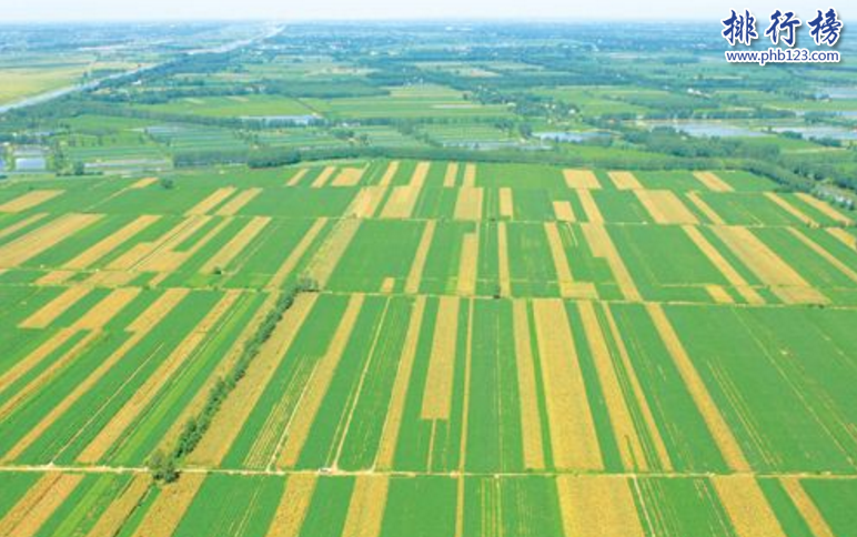 　　导语：平原指的是地面比较平坦起伏很小的一大块区域，主要是在长江湖泊两岸以及有海的地区，中国有有好几个省市都是平原地貌。今天排行榜123网小编为大家盘点了中国三大平原，一起来了解一下吧!  　　中国三大平原：东北平原、长江中下游平原、华北平原  　　三、华北平原  　　华北平原又称黄淮海平原是中国东部大平原的重要组成部分。东临渤海和黄海跨越了北京、江苏、山东等7个省市面积大约30万平方千米。整个平原的地形比较平坦河流湖泊很多，交通现在比较发达城市的经济发展很快是中国的政治、文化、经济中心其中北京位于太平原的北部。  　　二、长江中下游平原  　　长江中下游平原是指长江三峡以东的中下游沿岸带状平原。是中国三大平原之一彼此有很大很高的山相隔以长江相连位于湖北、安徽、江苏、上海等省市比较适合种植水稻有鱼米之乡的美誉，北接淮阳山，南接江南丘陵地势低平，其中包括湖北江汉平原、湖南洞庭湖平原等两湖平原。  　　一、东北平原  　　东北平原又称松辽平原在中国三大平原中是最大的一个平原，位于东北地区总面积约35万平方公里，东西两边分别是长白山地和大兴安岭山地。北部是小兴安岭山地以及南端濒辽东湾，其中分为松嫩平原、辽河平原以及三江平原等三大块这里土地肥沃适合种粮食，是我们盛产粮食的重要地区。  　　结语：以上就是排行榜123网小编为大家盘点的中国三大平原，这些平原遍布几个省市地理位置很好适合种植水稻以及发展渔业有鱼米之乡的美誉。