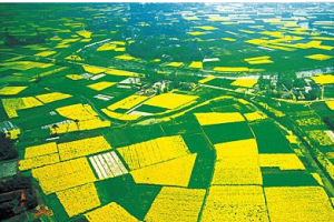 我国的三大平原是哪三个？中国三大平原详细介绍