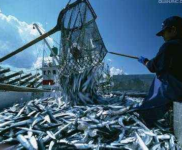 世界四大渔场：世界四大渔场排名和简介