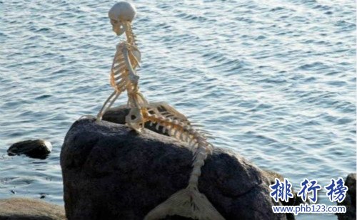 世界上有美人鱼吗？美人鱼照片曝光想象都是美好的