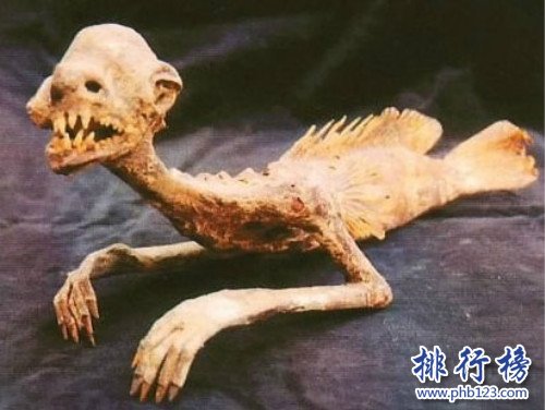 世界上有美人鱼吗？美人鱼照片曝光想象都是美好的