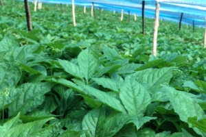 来赚钱吧！未来最赚钱的暴利行业排行榜