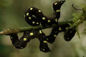 十大最新影响人类末来的惊人科学发现排行榜！