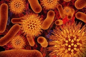 盘点海底发现的十大神秘物体