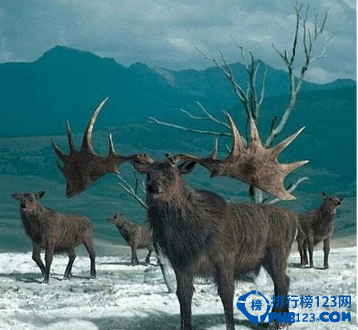 你想象不到的十大未来科技