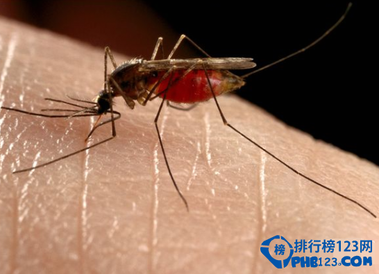 世界上最毒的动物排名