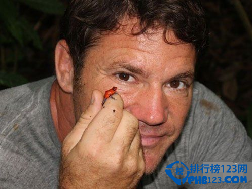 世界上最毒的动物排名