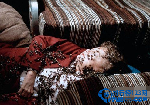 世界上最毒的动物排名