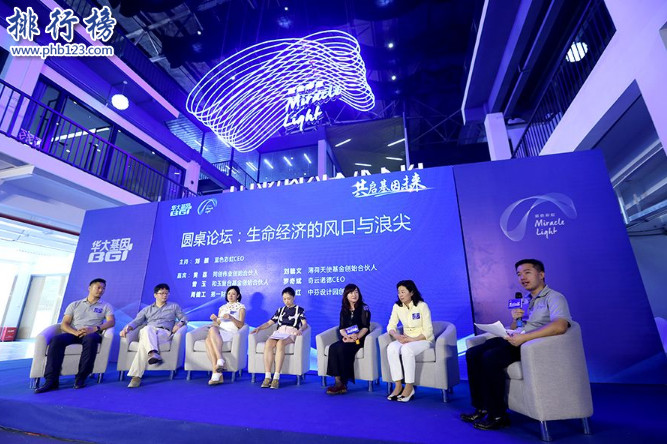 中国芯片龙头是哪家？中国十大芯片企业排名