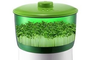 豆芽机品牌排行榜