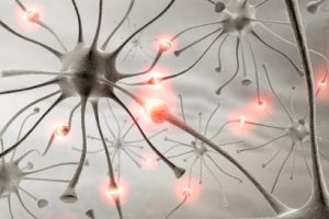 2015年十大科学突破