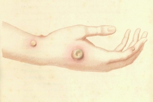 科学发现的十个伟大瞬间排行榜