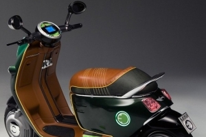 2015年电动车十大品牌排行榜 你想骑哪个？