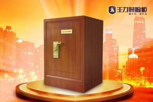 保险箱品牌排行榜