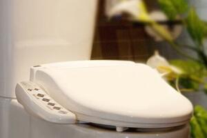 世界十大智能马桶盖排行榜,质量最好的马桶盖品牌有哪些
