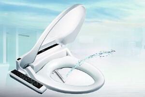 国产智能马桶盖排行榜,哪个牌子智能马桶盖最靠谱