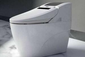 国产智能马桶排行榜,我国质量最好的智能马桶品牌
