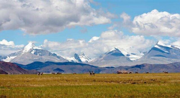 2017年各省转移支付排名，西藏人均4万排名第一