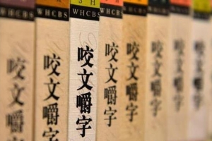 2015十大语文错误排行榜 失孤居然是错的