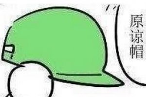 2017年新十大网络流行语及解释：人家拿小拳拳锤你胸口哦