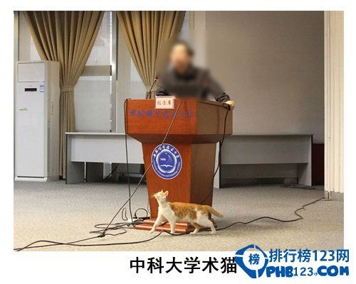 中国大学校园神兽排行榜