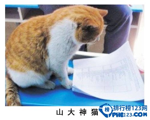 中国大学校园神兽排行榜