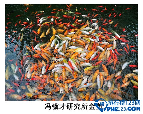 中国大学校园神兽排行榜