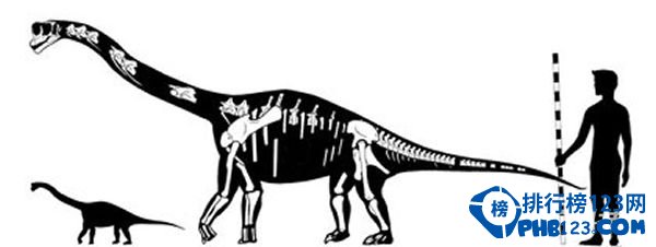 世界上最小的恐龙排行榜