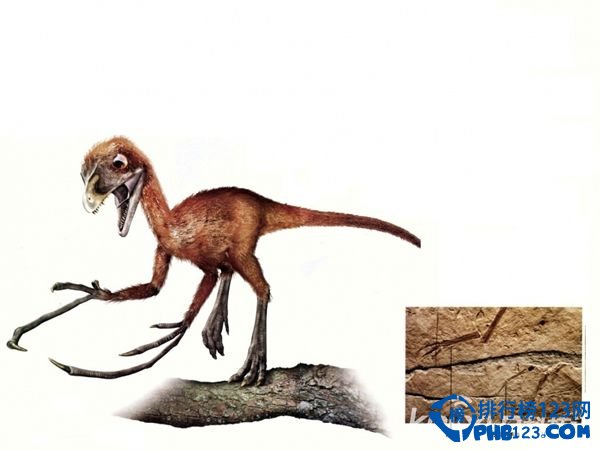 世界上最小的恐龙排行榜