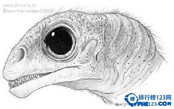 世界上最小的恐龙排行榜