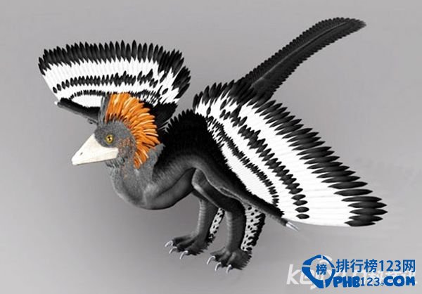 世界上最小的恐龙排行榜
