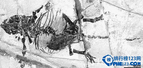 世界上最小的恐龙排行榜