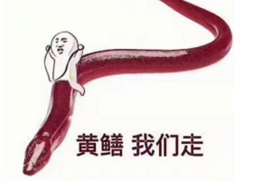 老铁没毛病是什么梗?2017网络用语大盘点