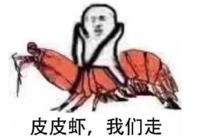 皮皮虾我们走是什么梗？皮皮虾我们走是什么意思？出处哪里