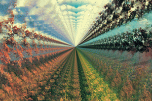 十张神奇的动态图片