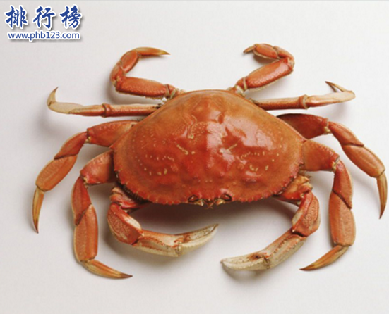 　　导语：如何网络发达，有什么小段子和奇特的事情就迅速走红网络，真是佩服这些网友的脑洞，一些小动物能恶搞出一些神兽来。下面排行榜123网小编为大家介绍的网络四大神兽，看了你会惊呆的。  　　网络四大神兽：草泥马、法克鱿、雅蔑蝶、潜烈蟹  　　四、潜烈蟹  　　潜烈蟹又称前列腺是网友恶搞出来的，也是网络四大神兽之一，螃蟹营养价值高肥大肉多。据说有这样的一个段子，有一天苏杭运河的蓄水口不能下泄，导致人们食用的的水受到污染，后来一看原来是这只潜烈蟹堵住了蓄水口，最后一个叫庞光的人因为喝了这种污染的水得了前列腺炎，最后死了，事情从此传开了官府的人大量补杀，导致潜烈蟹灭绝了。  　　三、雅蔑蝶  　　这种昆虫和蝴蝶长得有点相似，据说在2009年的1月份在青藏高原发现这只雅蔑蝶，它的颜色很奇怪还会变色，晚上还发夜光。它生活在高原地区喜欢寒冷的环境，全世界有1万4千多种蝴蝶，唯独它是最奇特最珍贵稀有的品种。据说在青藏高原只看见过2次。  　　二、法克鱿  　　法克鱿是网友编造出来的神奇的物种，在网络四大神兽里面排名第二。其实这个名字是网友恶作剧出来的和英文Fuсk you是一个意思，是一种骂人的很粗俗的话。  　　一、草泥马  　　听着名字这么粗俗，也是网友恶搞出来的神兽之一，起源于百度魔兽世界吧，之后快速在网络上流传开来，在聊天论坛中都会看到视频成为大家关注的有趣对象。其实是马勒戈壁上生活着一种顽强的小羊驼，那里缺水和食物吃的一种青草，草的名字我就不说了。  　　结语：以上就是排行榜123网小编为大家盘点的网络四大神兽，这些神兽都是网友恶搞出来的，在网络上传播所以成了神奇的物种也就是网络神兽。