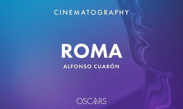 2019年第91届奥斯卡金像奖获奖完整名单(19项)