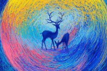 著名的心理学流派有哪些？盘点心理学十大流派